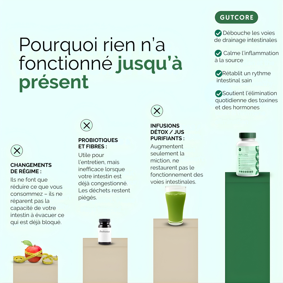 GutCore – Complexe de drainage intestinal à puissance maximale par Sequente™